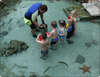 Atlantis Paradise Island Resort 